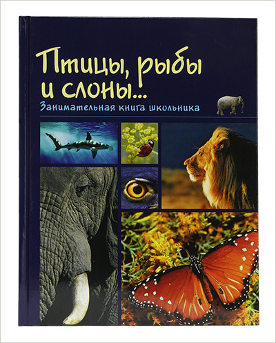 В Издательстве Московской Патриархии вышел новый тираж книги «Птицы, рыбы и слоны: Занимательная книга школьника»
