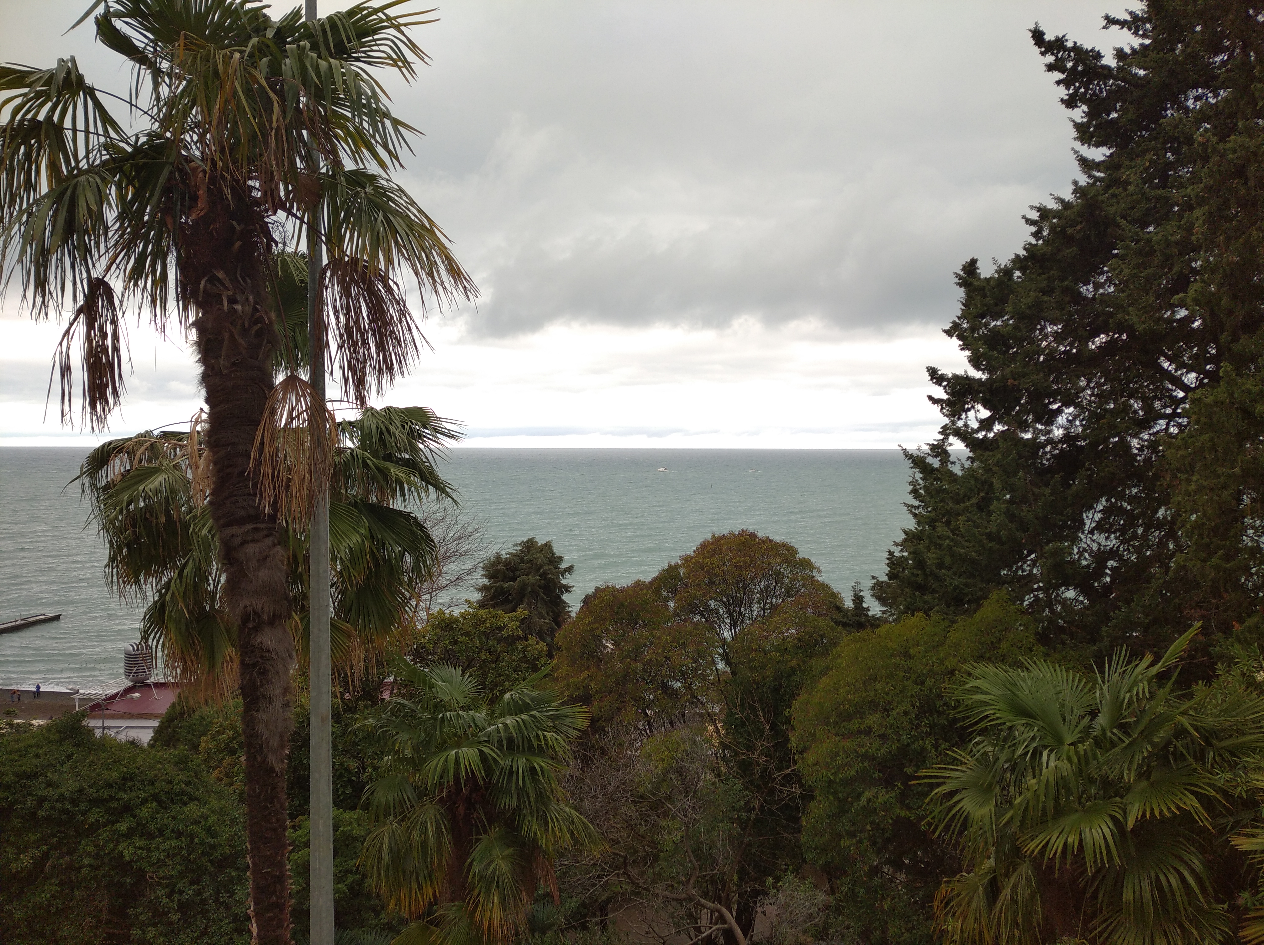 «В младенчестве, читая хаотично…»