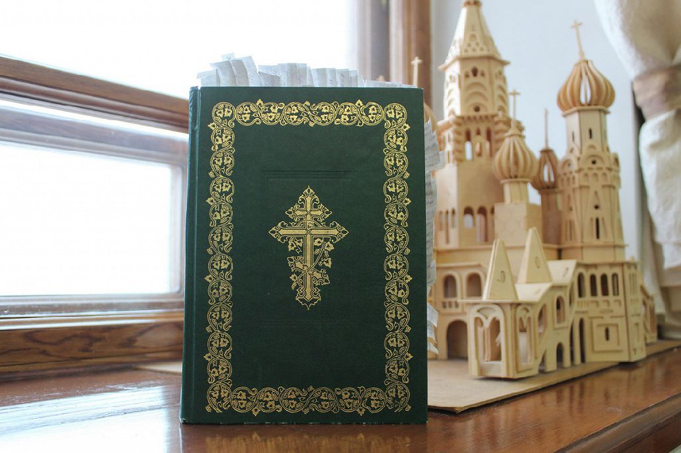 Амурская епархия передала книги в дом-интернат для престарелых и инвалидов 