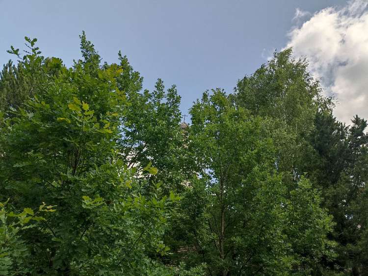 Всякое бывает...