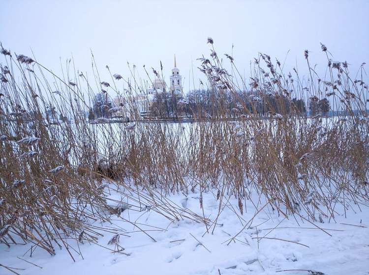 Книжные новинки. Январь. Часть 1