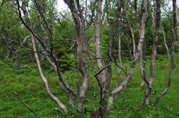 Книжные новинки. Октябрь