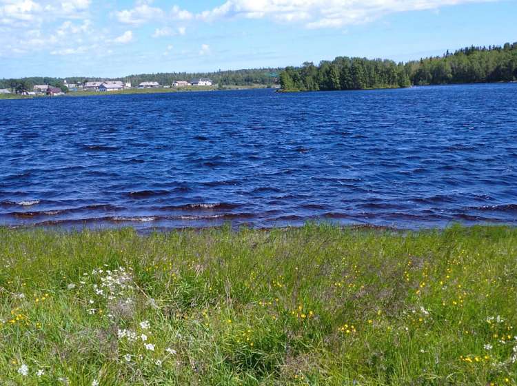 «На ярмарке» и «Союз любви»