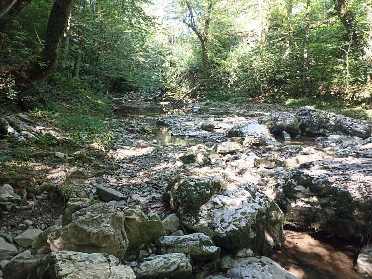 Солярный принцип критики  