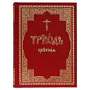 Триодь цветная