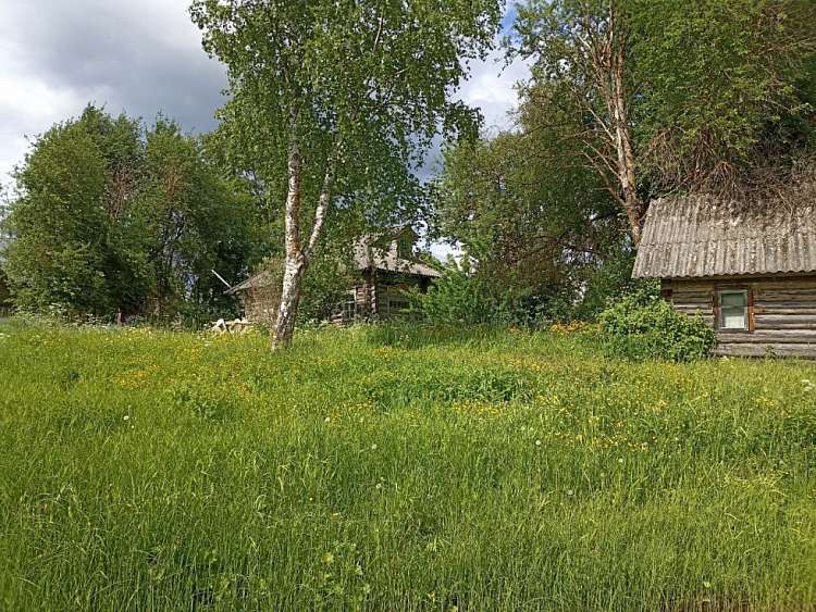 Почва с кровью