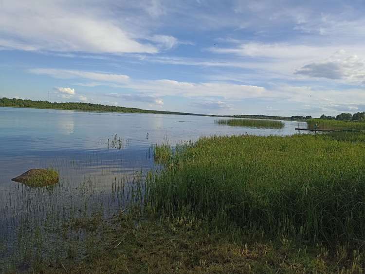 И живопись с поэзией в созвучье…  