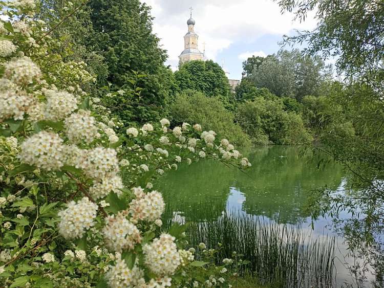 Книжные новинки. Июль