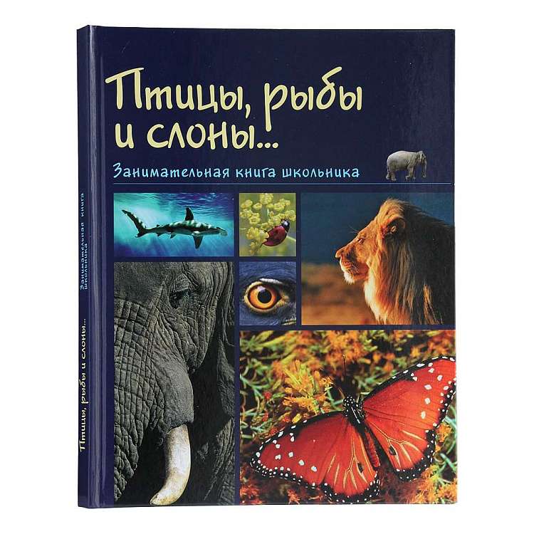 Птицы, рыбы и слоны: Занимательная книга школьника